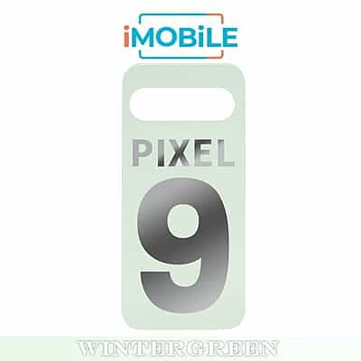 Google Pixel 9 5G Compatible Back Cover [Wintergreen]