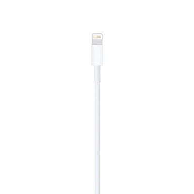 Apple Original 1m USB to Lightning Cable